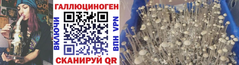 Галлюциногенные грибы мицелий Бронницы